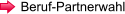 Beruf-Partnerwahl